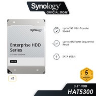 Synology NAS Internal Hard Drive HAT5310 /HAT5300 SATA III 3.5 Enterprise Sata HDD Hard Drive NAS HD