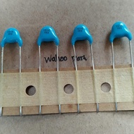 Ceramic Capacitor 100pf 1kv