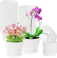 Cshangzei 24 Set 4 Inch White Plant Pots,Plastic Nursery Planters with Trays and Drainage Holes,Indoor Succulent Plants Container for Small Plants,Herbs,Seeds