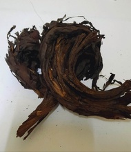 Vembalam Pattai / வேம்பாளம் பட்டை / Alkanet Root / Ratanjoot 50G