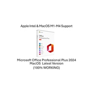 Microsoft office professional plus 2024