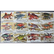 R367 Guinea 1991 Fauna Marine Life Fishes Set of 12v Stamps MNH