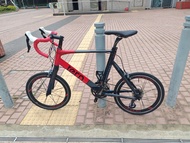 Tern Surge Pro 小輪徑車