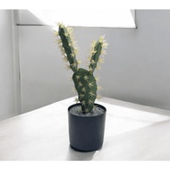 Cactus Bunny Ears Artificial Plant Aplant318