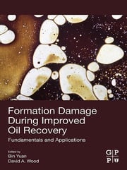 Formation Damage during Improved Oil Recovery Bin Yuan