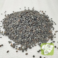 Black Pearl Stone 4mm-11mm Plant Plant Decoration Stone Rock Aquarium Decoration Stone 1KG IOB