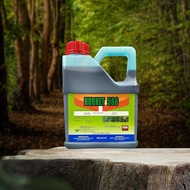 HORNET 5.66 4L racun rumput Lalang racun rumpai kebun buah buahan (Sama Tepat/Kenpat/CH glufosinate 