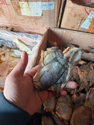 ikan asin Tamakang atau betok atau sepat kecil dan besar siap masak dengan berbagai pilihan masaka