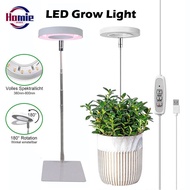 LED Grow Light Full Spectrum Phyto Grow Lamp USB Phytolamp for Plants 5V Indoor Plant Grow Light