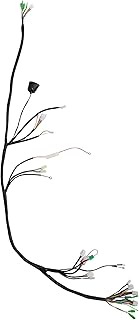 Chinese Scooter Moped 50cc Complete Main Wiring Harness GY6 TaoTao VIP 139QMB