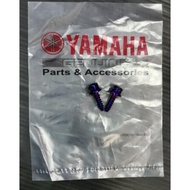 ✴️ SCREW STEEL TITANIUM M5