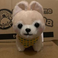 豆柴三兄弟 小狗