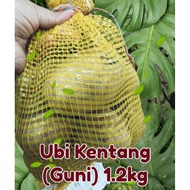 Ubi Kentang (guni) 1.2kg