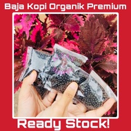 Japan Baja Kopi Organik Premium Repack