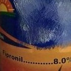 Regent Racun Serangga 1liter (Bayer)(Pesticide) fipronil 8%