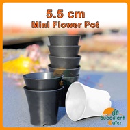 &lt; 5.5cm &gt;  Mini Flower Pot Pasu Bunga Kecil 迷你花盆