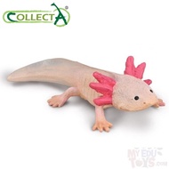 Axolotl - Collecta 80015 Reptiles & Amphibians Animal Action Figure / Toy Figurine Collection Toy Fo