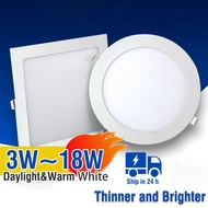 LED Pin light - Recessed Panel Light Ceiling Down Lights / Downlight ( White / Warm / Cool White / T