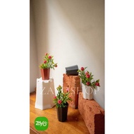 Pagoda Pot 5 Pagoda Flower Pot 5cm Pot