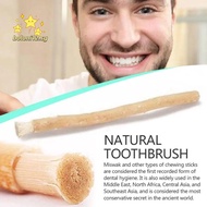 BOLONI12 Miswak Toothbrush, No Toothpaste Needed Soft Bristles NaturalToothbrush, Eco Friendly Tradi