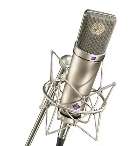Neuman U87Ai Condenser Microphone Recording