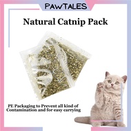 PAWTALES Pet Catnip Cat Mints Kucing Mint Pokok Hairball Removal 1g