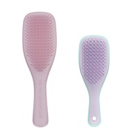 Tangle Teezer Wet Detangler & Mini Brush Set