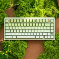 Keycaps custom keycaps Loerent < Luye Senyu > PBT Keycaps Original Factory Height Keyboard Keycaps 1