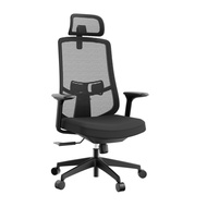 Home Office Mesh Chair Executive Ergonomics Chair Office Chair High-back Ergonomic Chairs