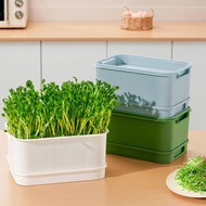Bean Sprout Germination Pot Seedling Tray Food Grade Household Raw Bean Sprout Machine Yellow Mung B
