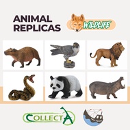 CollectA Wildlife Animal replicas and animal figurines
