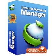 Original IDM Internet