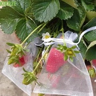 KIKO2E 100pcs Vegetable Plant Protection Bags, Mesh Generic Grapes Fruit Grow Bags, Multifunctional 