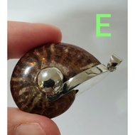 Ammonium pendant Full-Body Ammonite Shell Million-Year-Old Clam Can Be Carried With You. Increase Po