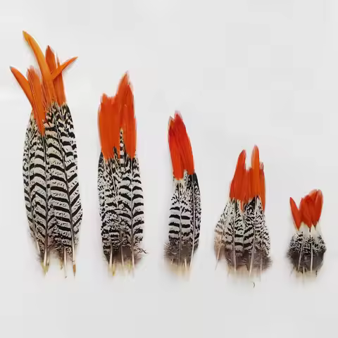 10Pcs/30pcs 5-30cm Natural Rare Orange TIPPED Lady Amherst Feathers for Jewelry Handicrafts Creation