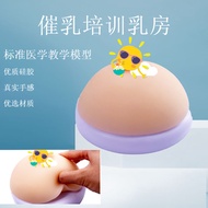 Advanced Medical Simulation Female Breast Implant Fake Breast Implant Fake Breast Implant Training A