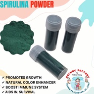 Spirulina powder pure approx 5g tube high grade fish birds immune boost natural