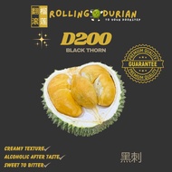 [SAME DAY DELIVERY] ROLLING DURIAN Fresh Black Thorn [500G] D200 黑刺