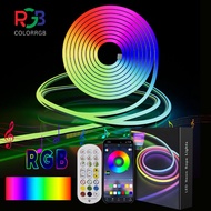 RGB LED Strip Light 220V Waterproof Cove Light Led Strip with Bluetooth App Control Backlight Light Decoration Light for Ceiling,strip light for cove light,cob lights for ceiling set,straight light led