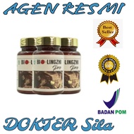 BISA COD - BIO LINGZHI PRO - 100% original obat herbal bantu atasi masalah ginjal dan hati dijamin a