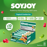 SOYJOY Snack Bar Kedelai Tropical Cranberries Box 12x30gr