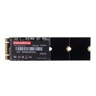 Cn500 SSD COLORFUL SATA M.2 240GB