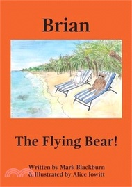 45867.Brian The Flying Bear!