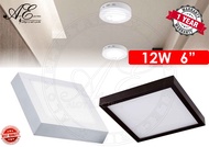 SURFACE DOWNLIGHT - 6 INCH 12W  /  8 INCH  18W  / 12 INCH 25W  (DAYLIGHT) ROUND / SQUARE