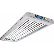 Growth Technology LightWave T5 4Ft 4Tube Fluorescent Plant Lighting (16000 Lumens 4x54W 6500K  House