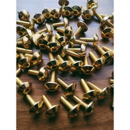 10biji Skru M5 Gold (M5#14) skru trip halus skru motor ALL HONDA dan kereta