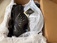 全新 日本直送✈️ Mizuno WAVE PROPHECY LS GTX 防水鞋  42.5碼