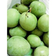Buah Mangga Muda Epal/Pauh....
