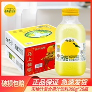 Grapefruit Juice Song Grapefruit Juice Drink Double Grapefruit Juice Fragrant Grapefruit Juice 300g 
