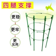 K-Y/ Epiphyllum Special Stand Climbing Vine Flower Stand Gardening Prop Balcony Green Radish Chinese Rose Clematis Vine
